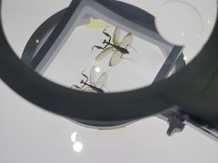 -上海昆虫博物馆