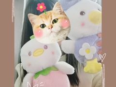 -快乐街区(成都龙湖北城天街店)