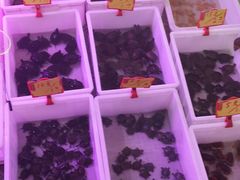 -宝鸡东道花鸟鱼虫市场(吉利花园商场店)