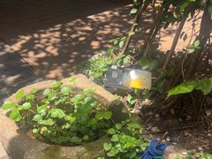 -宅里香.自然餐厅(湘大店)