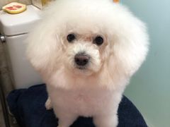 -宠颐生嘉德动物医院