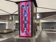 -谢列梅捷沃国际机场