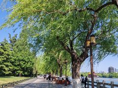 -济南大明湖景区