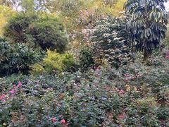 -人民公园(罗湖区)