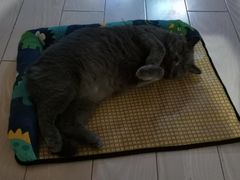 -Rabbit Cafe私房西餐甜点咖啡(栖霞路店)