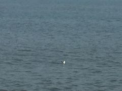 -银海大世界