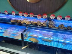水产区-鸽子侯·家宴·平价海鲜(市图书馆店)