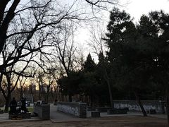 -元大都城垣遗址公园