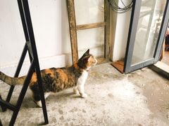 -五月木作·DIY木作文创体验店(北京路店)