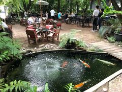 -Fern Forest Cafe