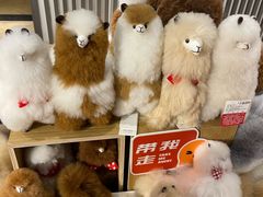 -G·SPACE(金鹰世界店)