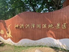 -泗洪洪泽湖湿地景区