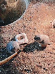 -Zoolung Zoolung动物主题公园(海信广场店)