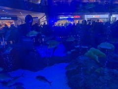 -成都浩海立方海洋公园