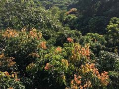 -鲤鱼塘农家山庄
