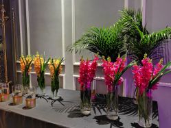 -格乐利雅婚礼艺术中心(南外滩店)