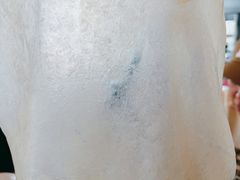 -佶政筋饼·新概念(安阳路店)