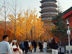 -金城公园