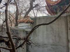 -哈尔滨文化公园