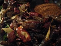 昆虫三拼-紫滇源云南生态菜(丹凤街店)