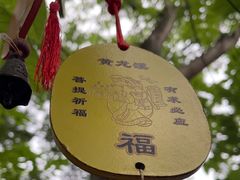 -黄龙溪古镇