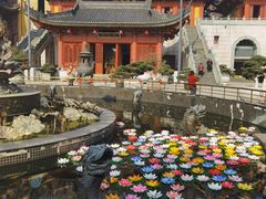 -上海东林寺(金山区)