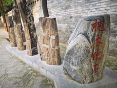 -大槐树寻根祭祖园