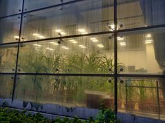 -上海昆虫博物馆