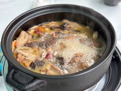 -蘑统田下·野生菌火锅