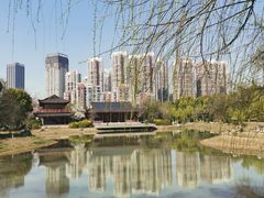 -堤角公园