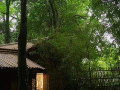 -兰亭风景区