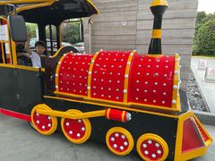 -上海崇明金茂凯悦酒店