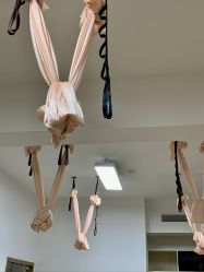 -樊栀普拉提·瑜伽·教培