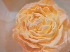 花.漾-潮一不贰·法式甜品·生日蛋糕·西式简餐(外滩店)