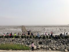 -芦潮港集贸市场