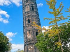 -上海佘山国家森林公园天马山园