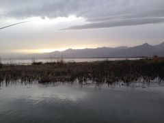 -哈素海