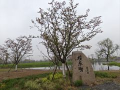-良渚古城遗址公园