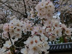 -醍醐寺