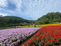 -广州市石门国家森林公园