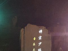 -禅宗少林·音乐大典