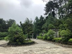 -铁山坪森林公园