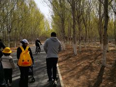 -东郊湿地公园