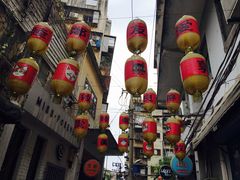 -猫咪博物馆(顶澳仔猫街店)