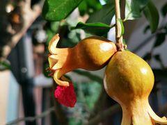 -后海16号·北京私房菜