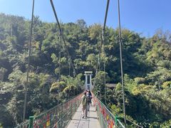 -西双版纳原始森林公园