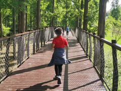 -黄海国家森林公园