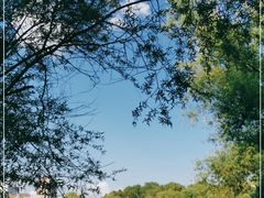 -长春市南湖公园