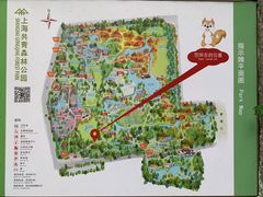 -上海共青森林公园