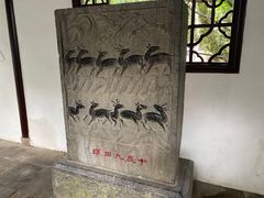 -上海醉白池公园
